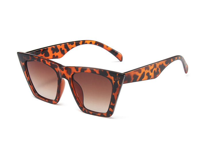 New Fashion Cat Eye Ladies Street Shot Hip-hop Sunglasses
